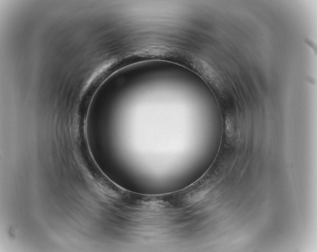X0000099440396200805091317