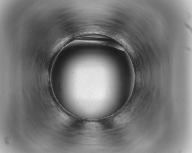 X0000099440397200805091317