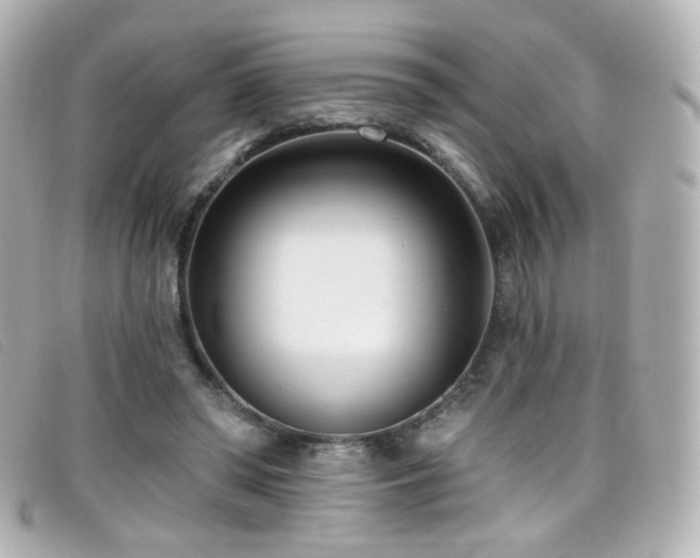 X0000099440398200805091317