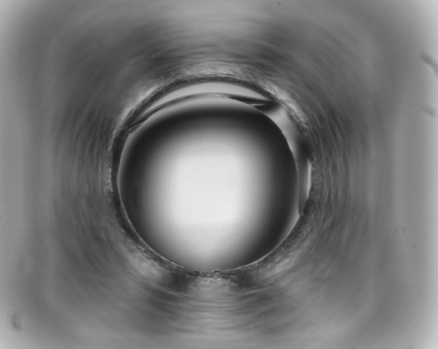 X0000099440399200805091317