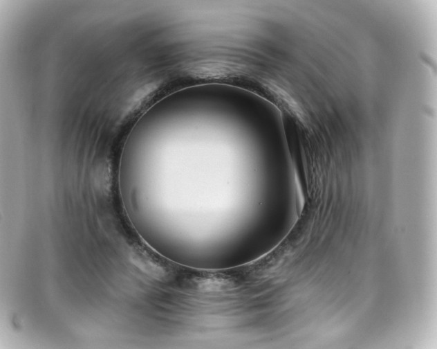 X0000099440400200805091317