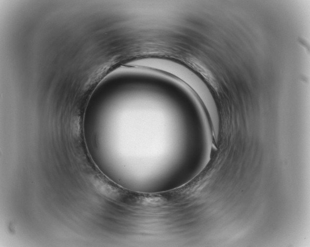 X0000099440401200805091317