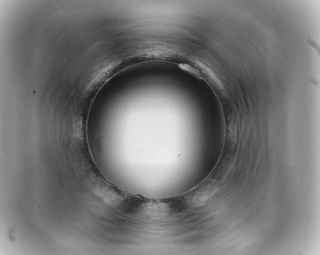 X0000099440403200805091317