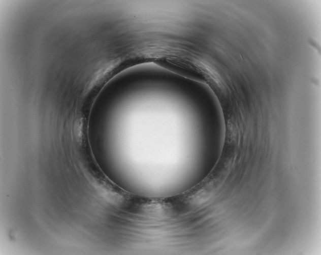 X0000099440404200805091317