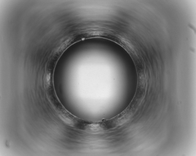 X0000099440406200805091317