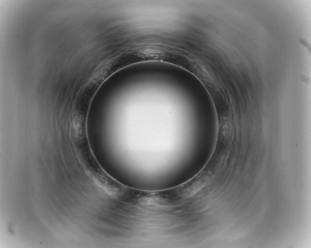X0000099440408200805091317