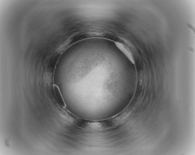 X0000099440409200805091317