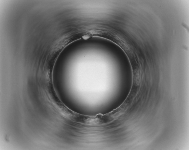 X0000099440410200805091317