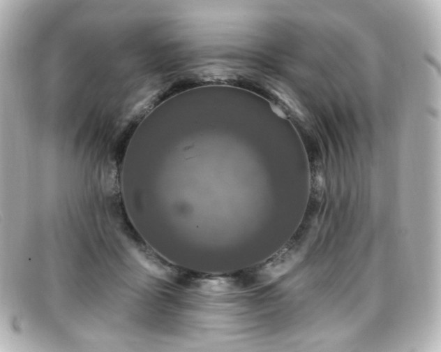 X0000099440411200805091317