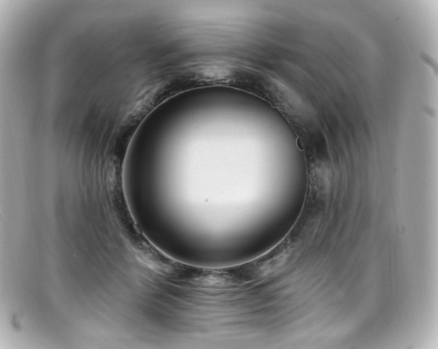 X0000099440412200805091317
