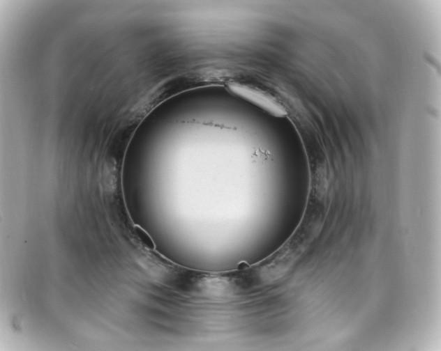 X0000099440413200805091317