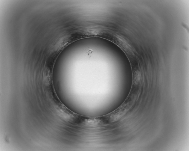 X0000099440414200805091317