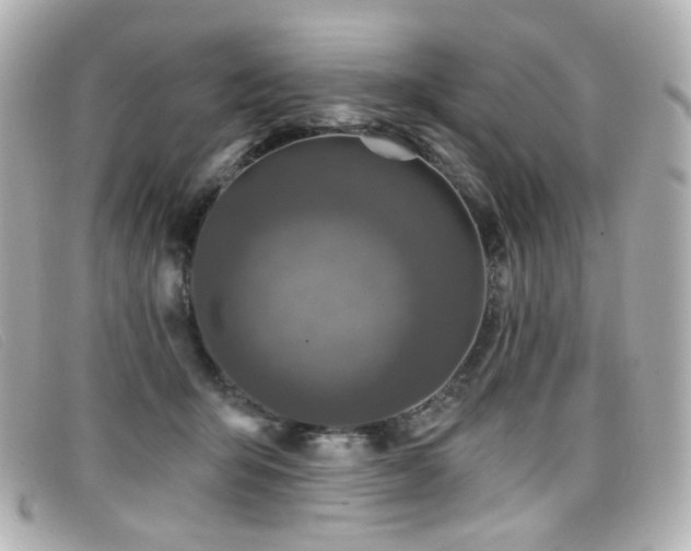 X0000099440415200805091317