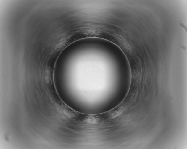 X0000099440416200805091317