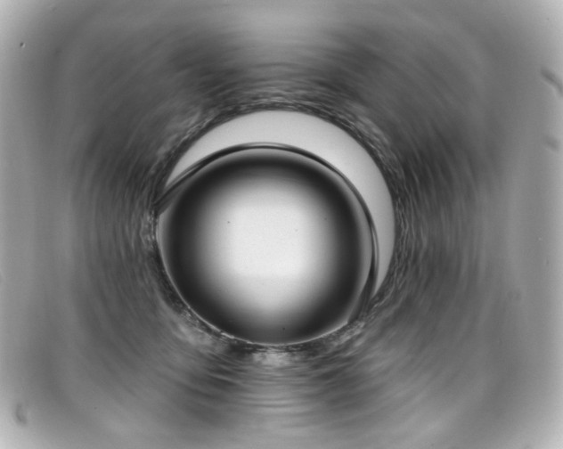 X0000099440419200805091317
