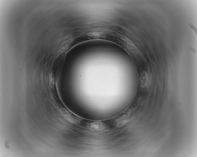 X0000099440420200805091317