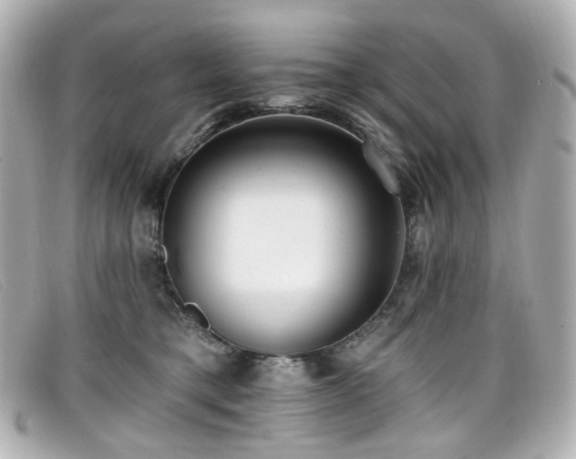 X0000099440421200805091317