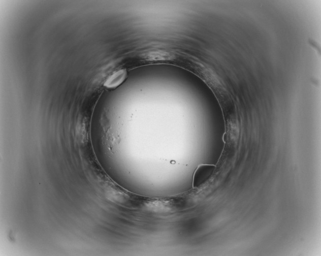 X0000099440422200805091317
