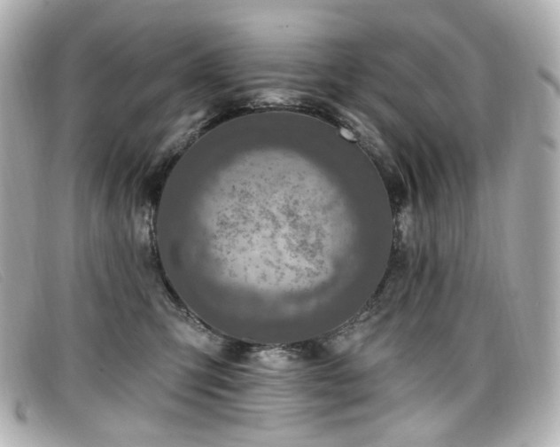 X0000099440423200805091317