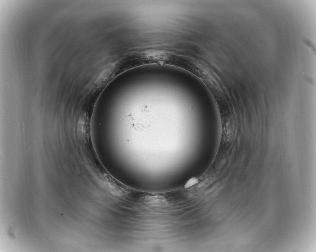 X0000099440424200805091317