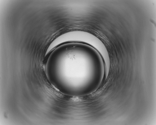 X0000099440425200805091317