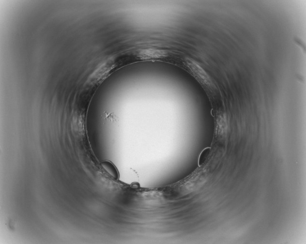 X0000099440426200805091317