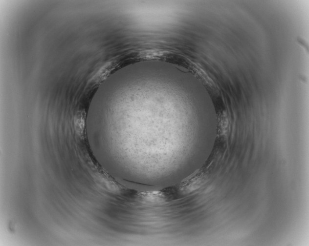 X0000099440427200805091317