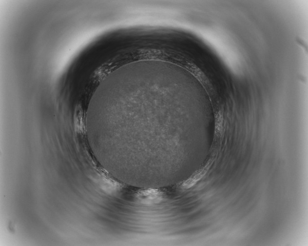 X0000099440431200805091317