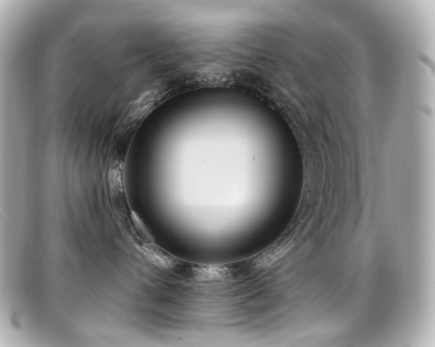 X0000099440432200805091317
