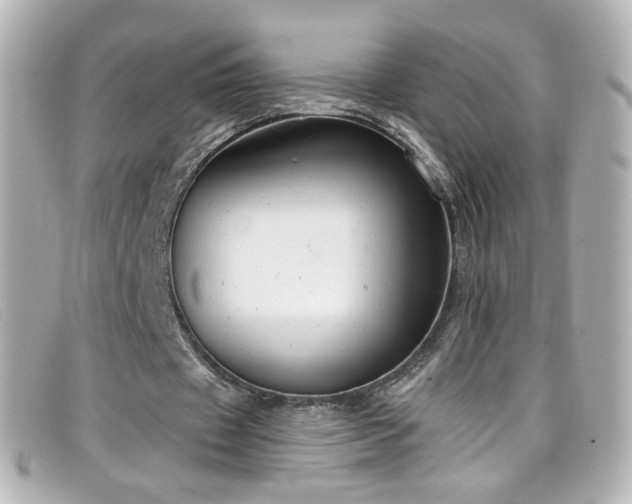 X0000099440433200805091316