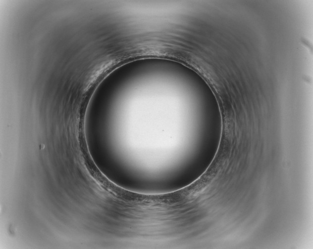 X0000099440434200805091316
