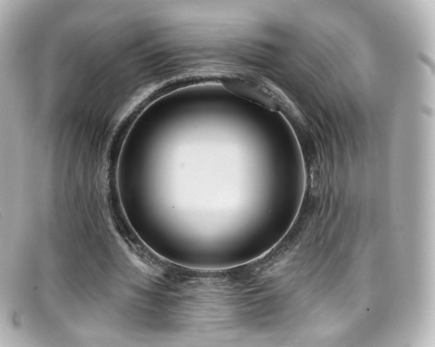 X0000099440436200805091316