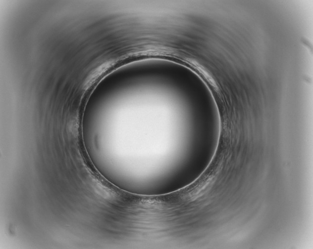 X0000099440437200805091316