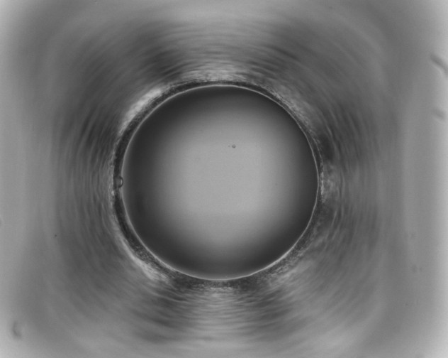 X0000099440438200805091316