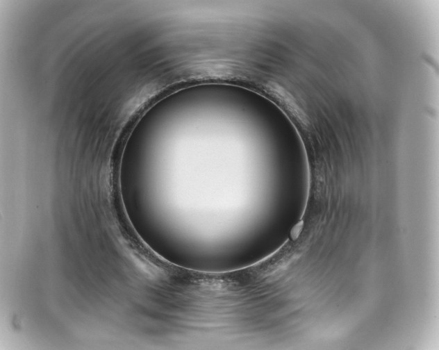 X0000099440439200805091316