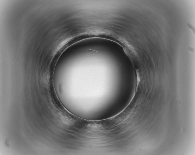 X0000099440440200805091316
