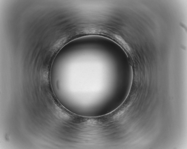 X0000099440441200805091316