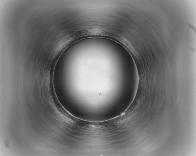 X0000099440442200805091316