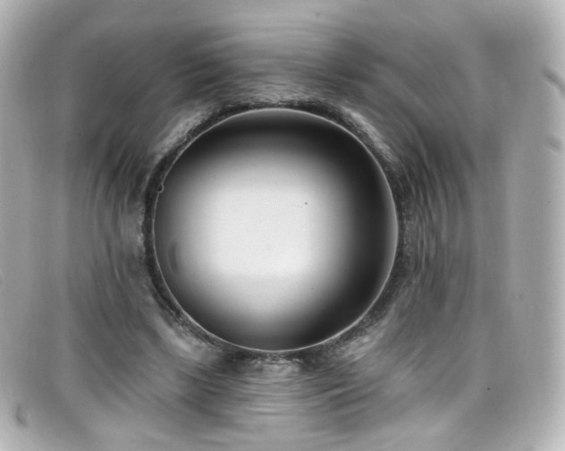 X0000099440443200805091316