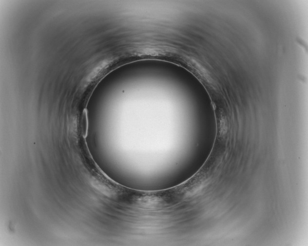 X0000099440444200805091316