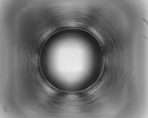 X0000099440445200805091316
