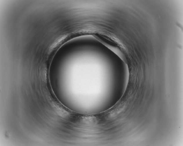 X0000099440446200805091316