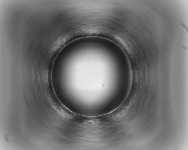 X0000099440447200805091316