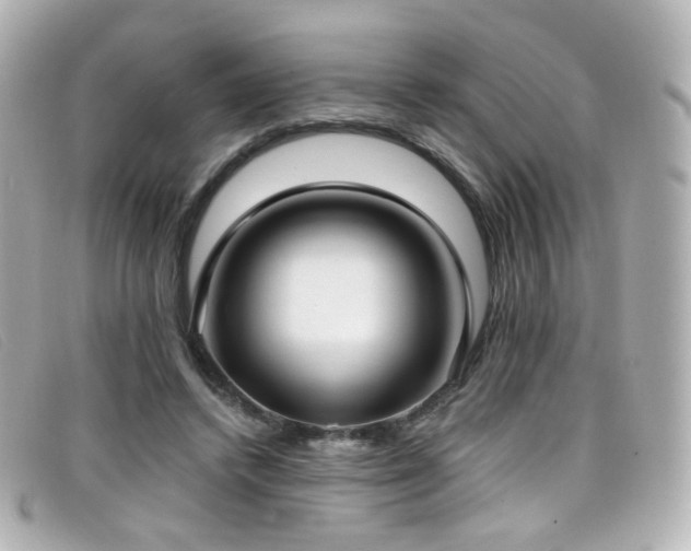 X0000099440448200805091316