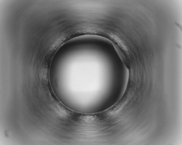 X0000099440449200805091316