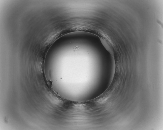 X0000099440450200805091316