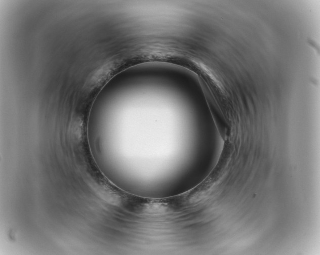 X0000099440451200805091316