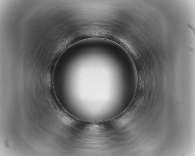 X0000099440453200805091316
