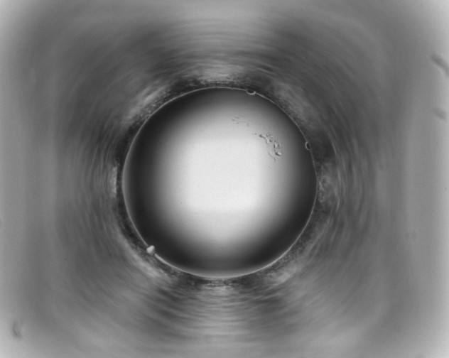 X0000099440454200805091316