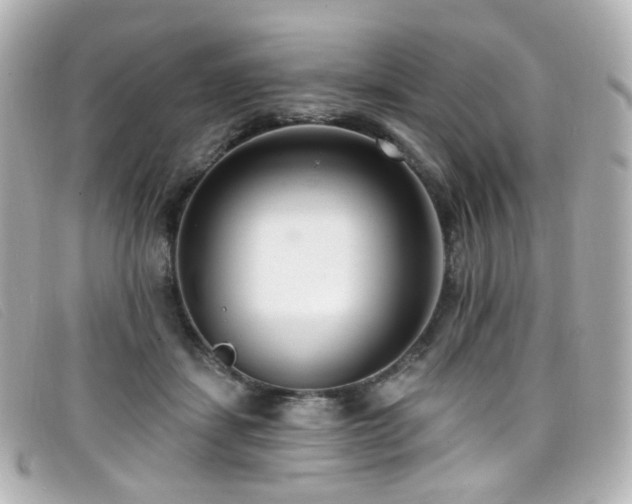X0000099440459200805091316